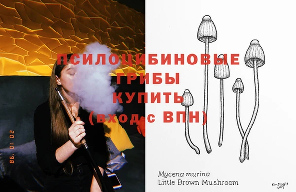 мяу мяу мука Верея